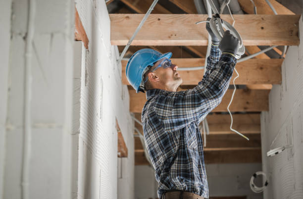 Best Electrical Upgrades for Homes  in Van Meter, IA